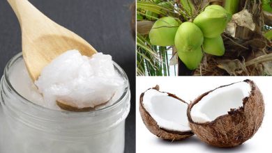 Photo of Aceite de coco, el nuevo aliado de tu salud