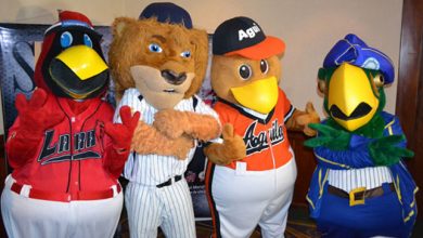 Photo of Mascotas de los equipos del béisbol venezolano